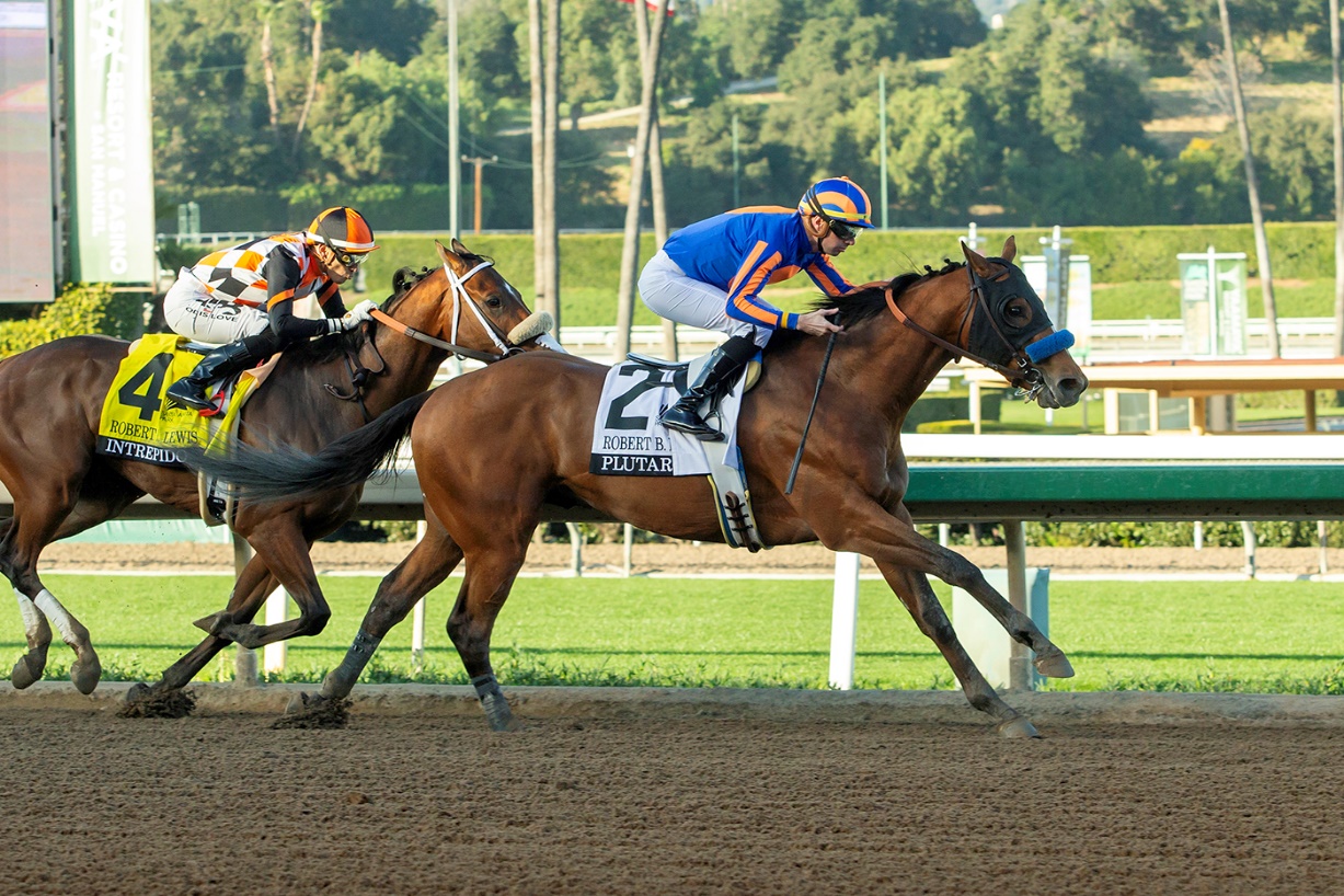 Plutarch, horse, John y Mrs Magnier, Robert B. Lewis, sábado, 7 de febrero de 2026, Santa Anita Park. Foto: Benoit Photo