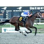 Renegade, horse, Into Mischief, Sam F. Davis, sábado, 7 de febrero de 2026, Tampa Bay Downs Foto: SV Photography
