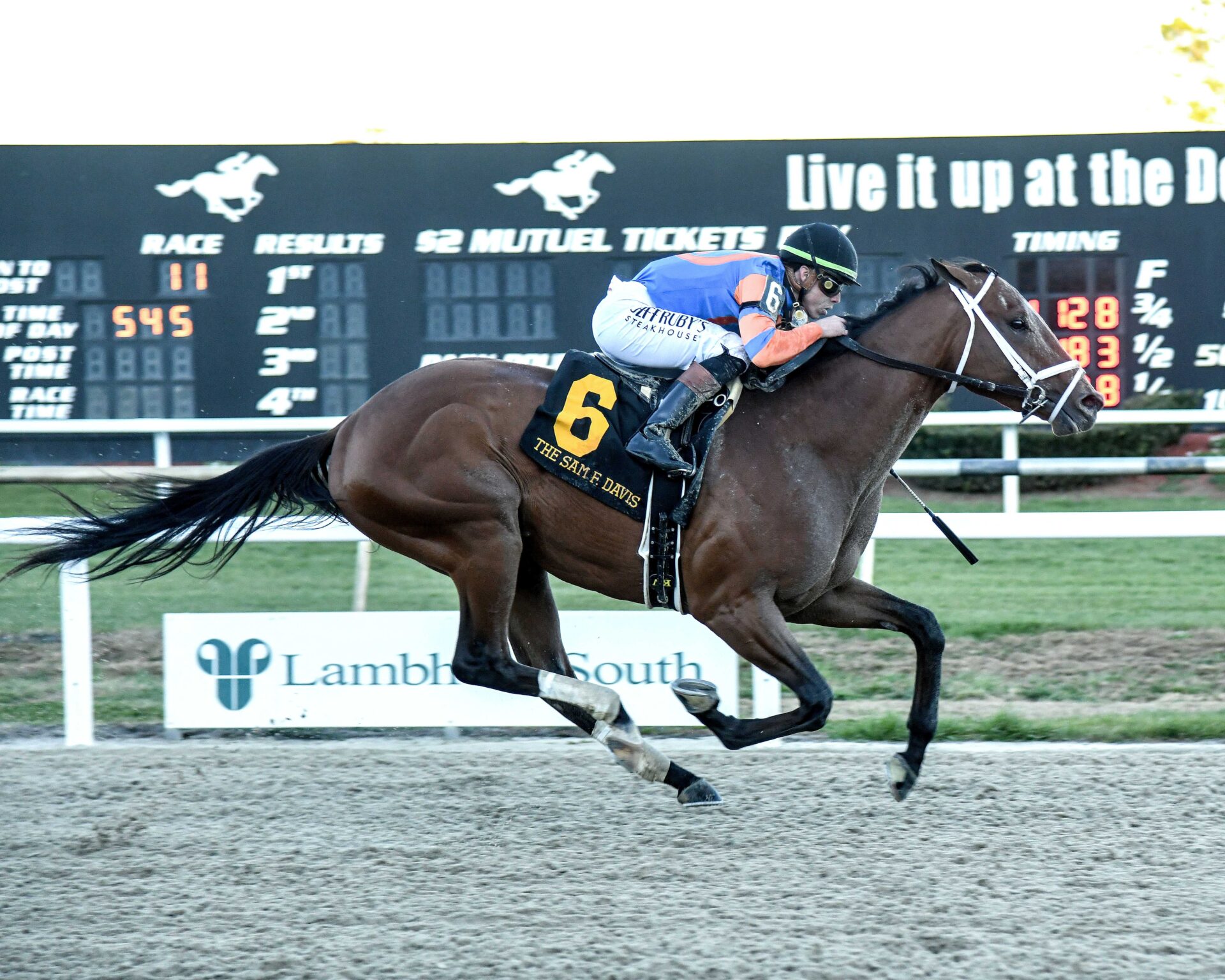 Renegade, horse, Into Mischief, Sam F. Davis, sábado, 7 de febrero de 2026, Tampa Bay Downs Foto: SV Photography