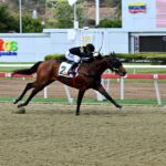 Rockville, horse, Bernardini, Clásico Hylander, domingo, 14 de febrero de 2026, La Rinconada. Foto: José Antonio Aray