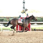 Silent Tactic, horse, Don Alberto Corporation, Southwest Stakes, viernes, 6 de febrero de 2026, Oaklawn Park. Foto: Coady Media
