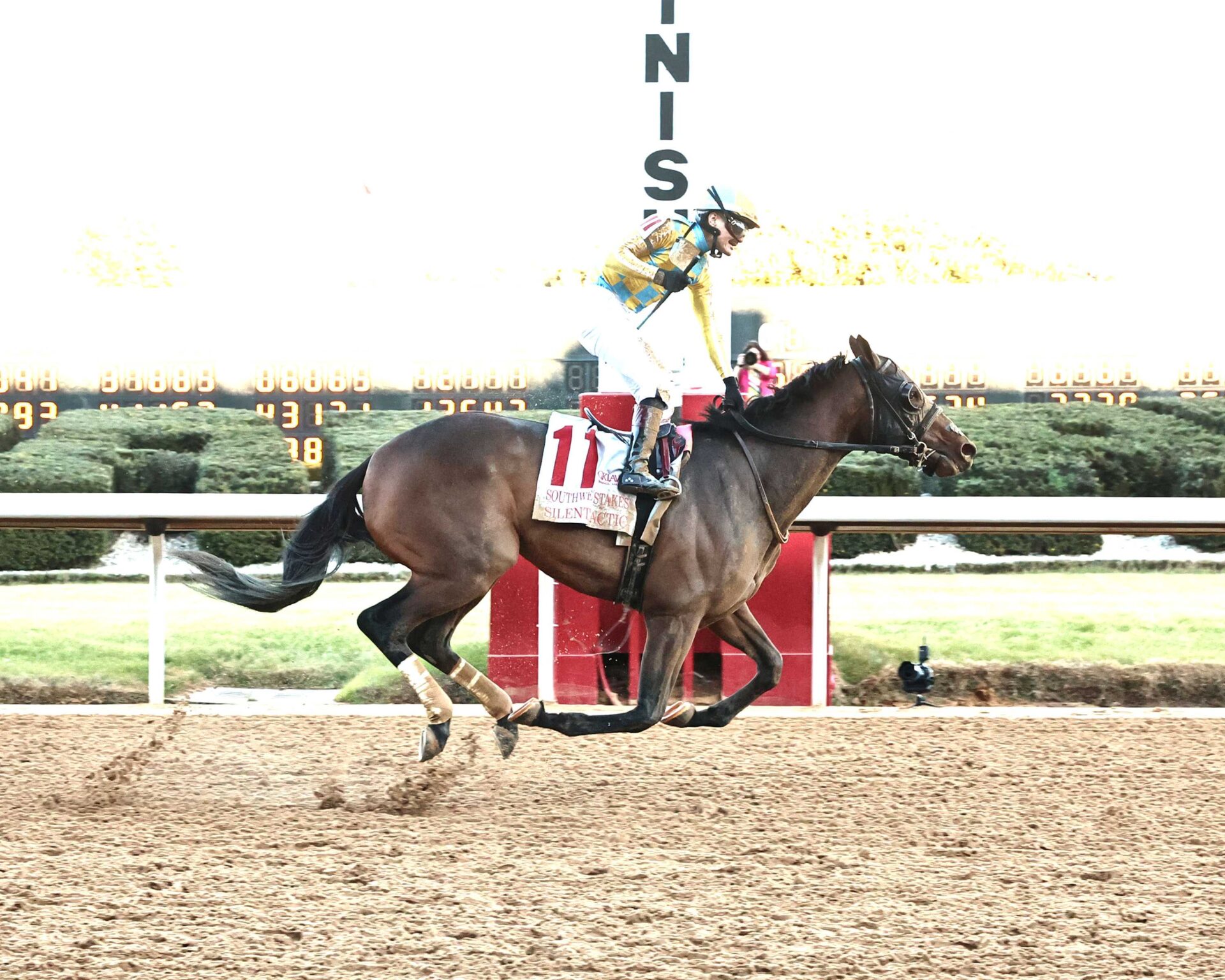 Silent Tactic, horse, Don Alberto Corporation, Southwest Stakes, viernes, 6 de febrero de 2026, Oaklawn Park. Foto: Coady Media