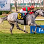 Shining Star, horse, Haras Sumaya, Mardi Grass Stakes, martes, 17 de febrero de 2026, Fair Grounds. Foto: Hodges Photography