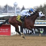 Talk To Me Jimmy, horse, Majestic View Farms, Withers Stakes, viernes, 6 de febrero de 2026, Aqueduct. Foto: Coglaniese Photo & Susie Raisher