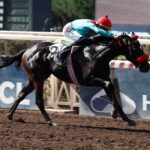 Bahia Perdida, horse, Haras Paso Nevado, Clásico Selección de Potrancas, sábado, 7 de marzo de 2026, Hipódromo Chile. Foto: Jaime Cortés