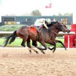 Class President, horse, Uncle Mo, Rebel Stakes, domingo, 1 de marzo de 2026, Oaklawn Park. Foto: Coady Media