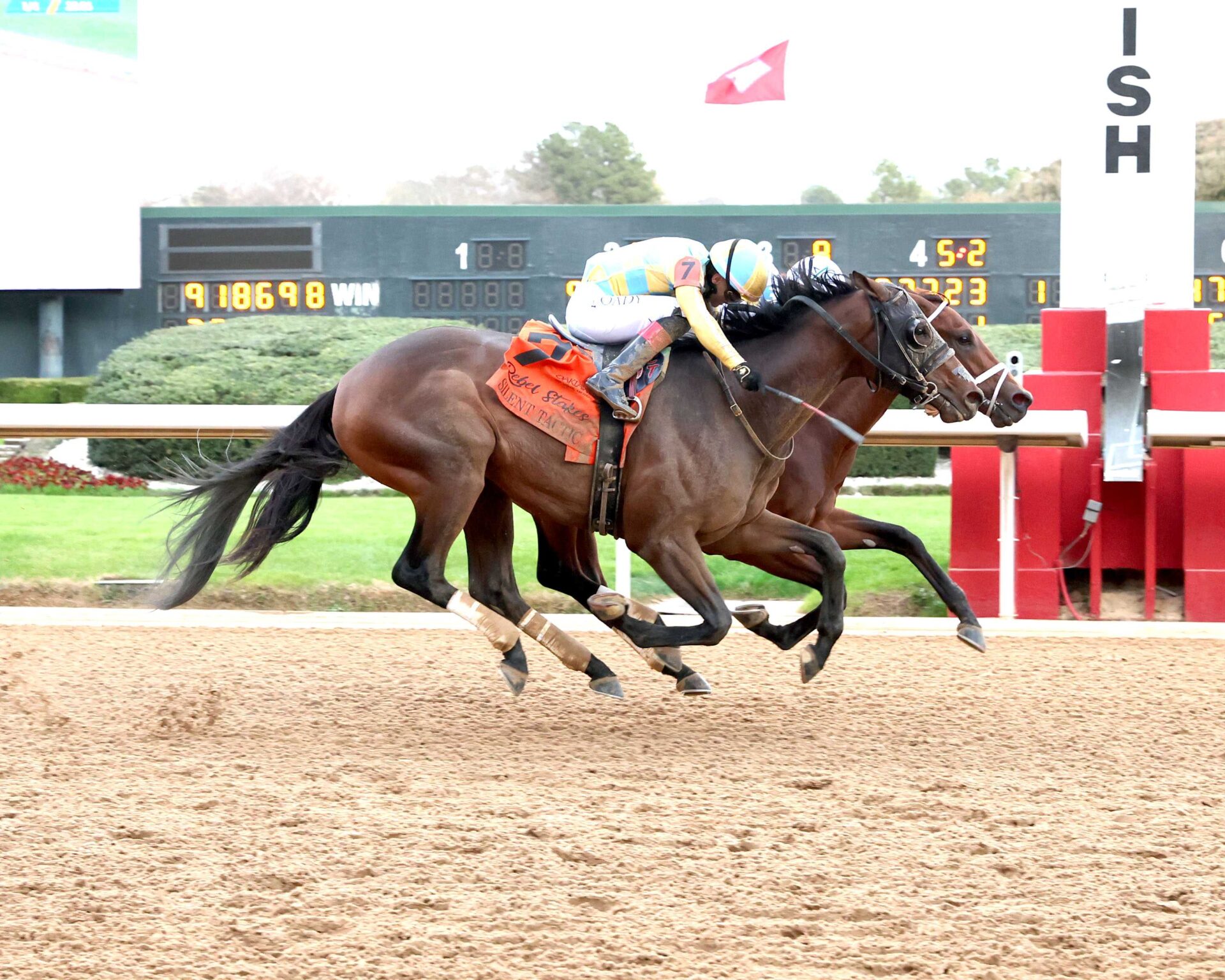 Class President, horse, Uncle Mo, Rebel Stakes, domingo, 1 de marzo de 2026, Oaklawn Park. Foto: Coady Media
