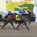 Commandment, horse, Into Mischief, Curlin Florida Derby, sábado, 28 de marzo de 2025, Gulfstream Park. Foto: Coglaniese Photo & Susie Raisher