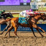 Emerging Market, horses, Candy Ride, Lousiana Derby, sábado, 21 de marzo de 2026, Fair Grounds. Foto: Hodges Photography