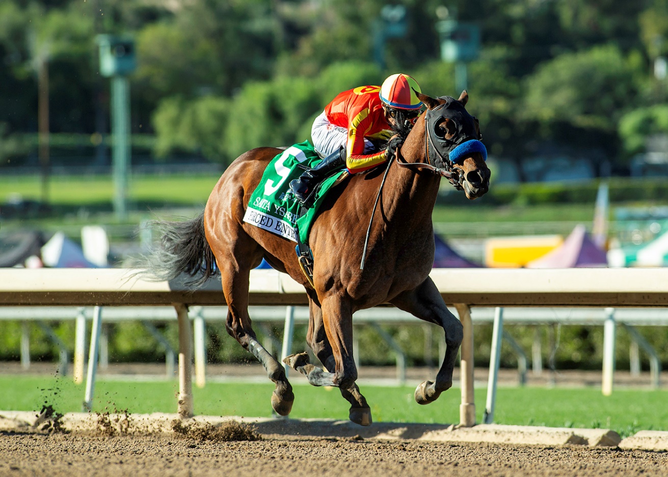 Forced Entry, Horses, Charlatan, Santa Ysabel Stakes, domingo, 8 de marzo de 2026, Santa Anita Park. Foto: Benoit Photo