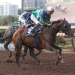 Good Runner, horse, Good Samaritan, Clásico Alberto Benavente Benavente, sábado, 21 de marzo de 2026, Hipódromo Chile. Foto: Jaime Cortés