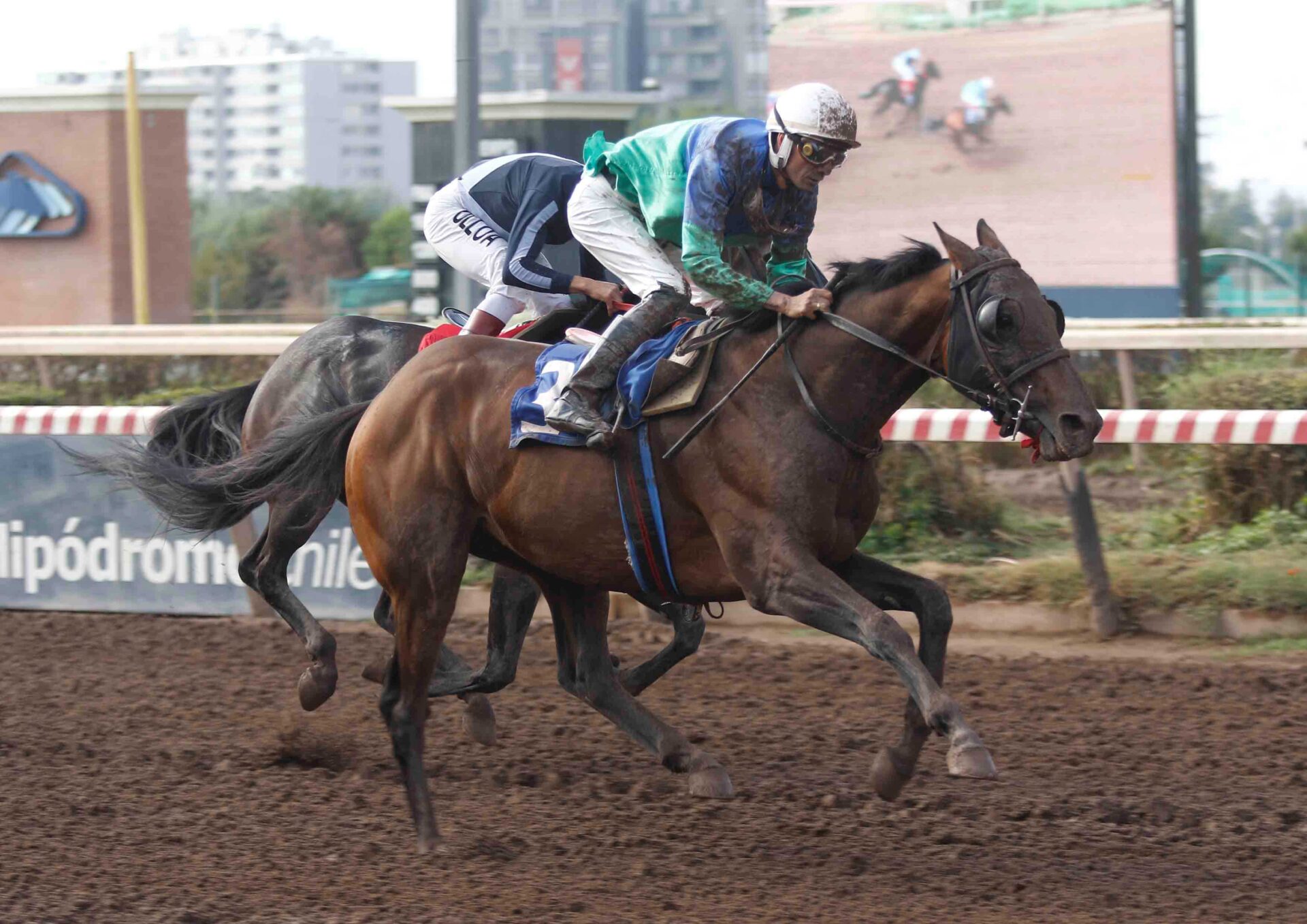 Good Runner, horse, Good Samaritan, Clásico Alberto Benavente Benavente, sábado, 21 de marzo de 2026, Hipódromo Chile. Foto: Jaime Cortés