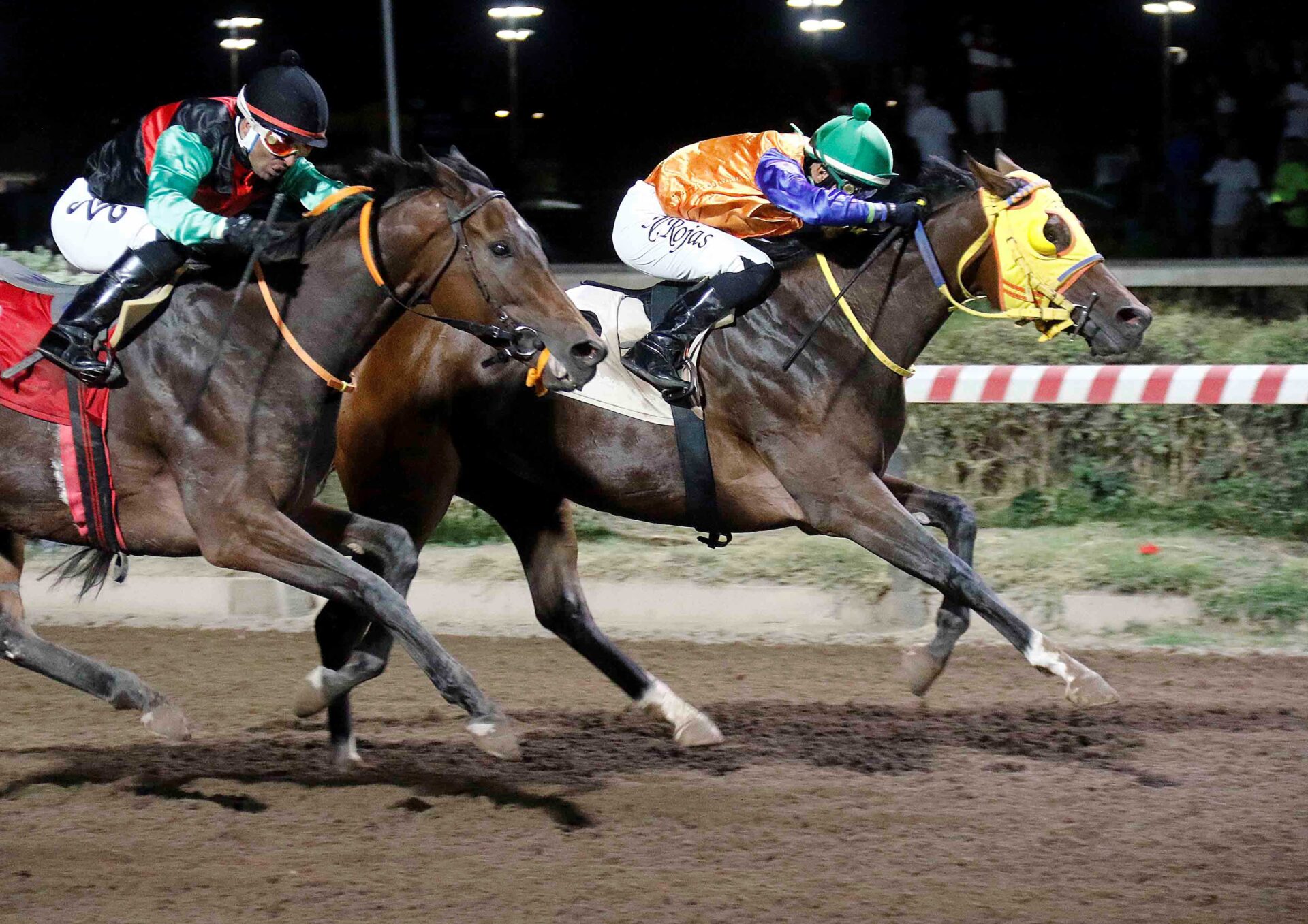 La Que Manda, horse, Exaggerator, Hándicap, sábado, 28 de febrero de 2026, Hipódromo Chile. Foto: Jaime Cortés