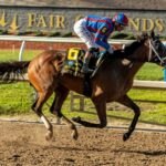 Life Of joy, horse, Springhouse Farm, Louisiana Oaks, sábado, 21 de marzo de 2026, Fair Grounds. Foto: Hodges Photography