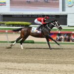 Magicshadow, horse, Yoshida, Clásico Socopó, domingo, 15 de marzo de 2026, La Rinconada. Foto: José Antonio Aray