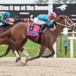 The Puma, horse, Essential Quality, Tampa Bay Derby, sábado, 7 de marzo de 2026 Tampa Bay Downs Foto: SV Photography