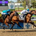Touchuponastar, horse, Star Guitar, New Orleans Classic, sábado, 21 de marzo de 2026, Fair Grounds. Foto: Hodges Photography