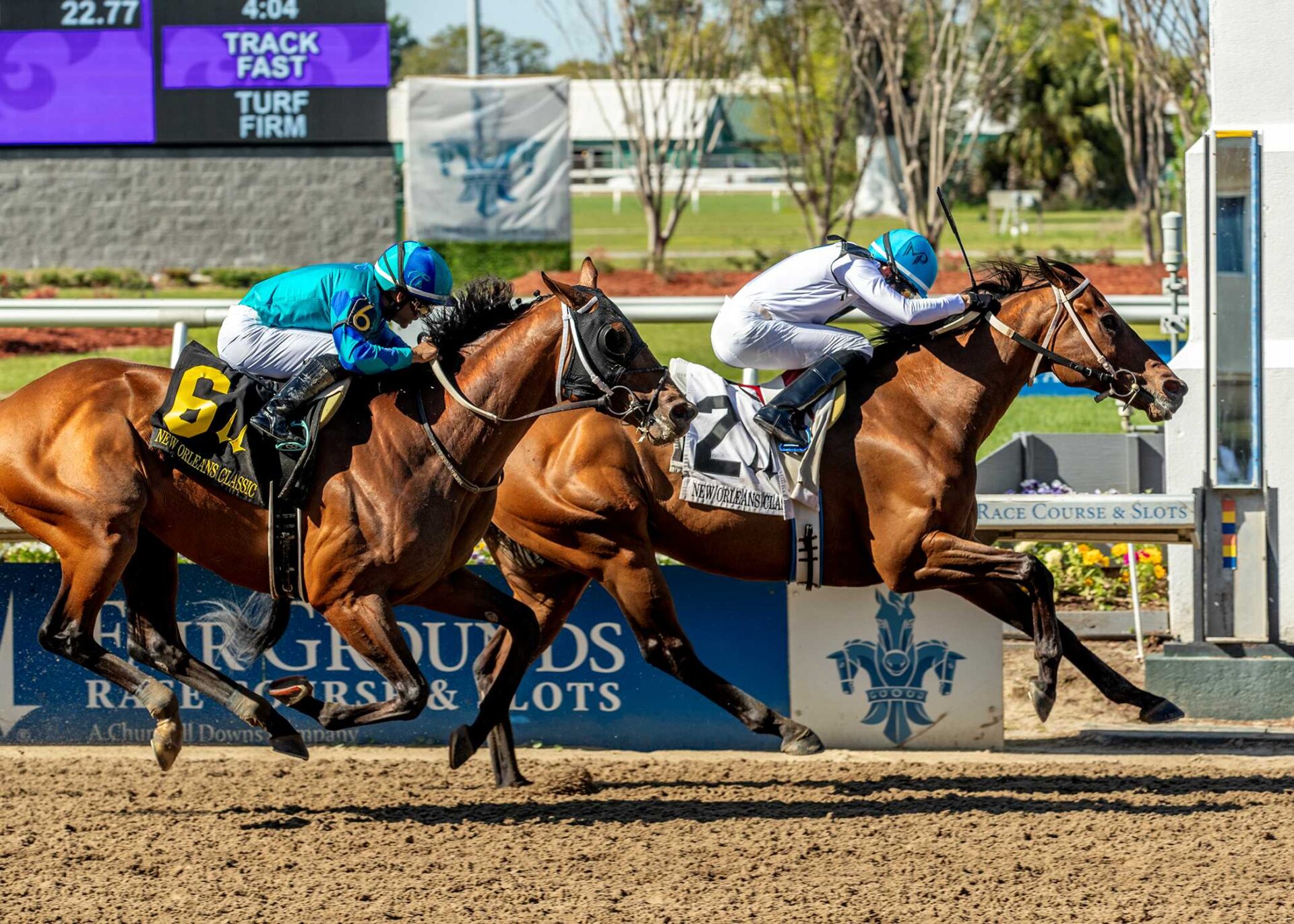 Touchuponastar, horse, Star Guitar, New Orleans Classic, sábado, 21 de marzo de 2026, Fair Grounds. Foto: Hodges Photography