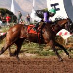 Tsubasa, horse, Haras Las Chicas, Clásico Selección de Potrillos, sábado, 7 de marzo de 2026, Hipódromo Chile. Foto: Jaime Cortés