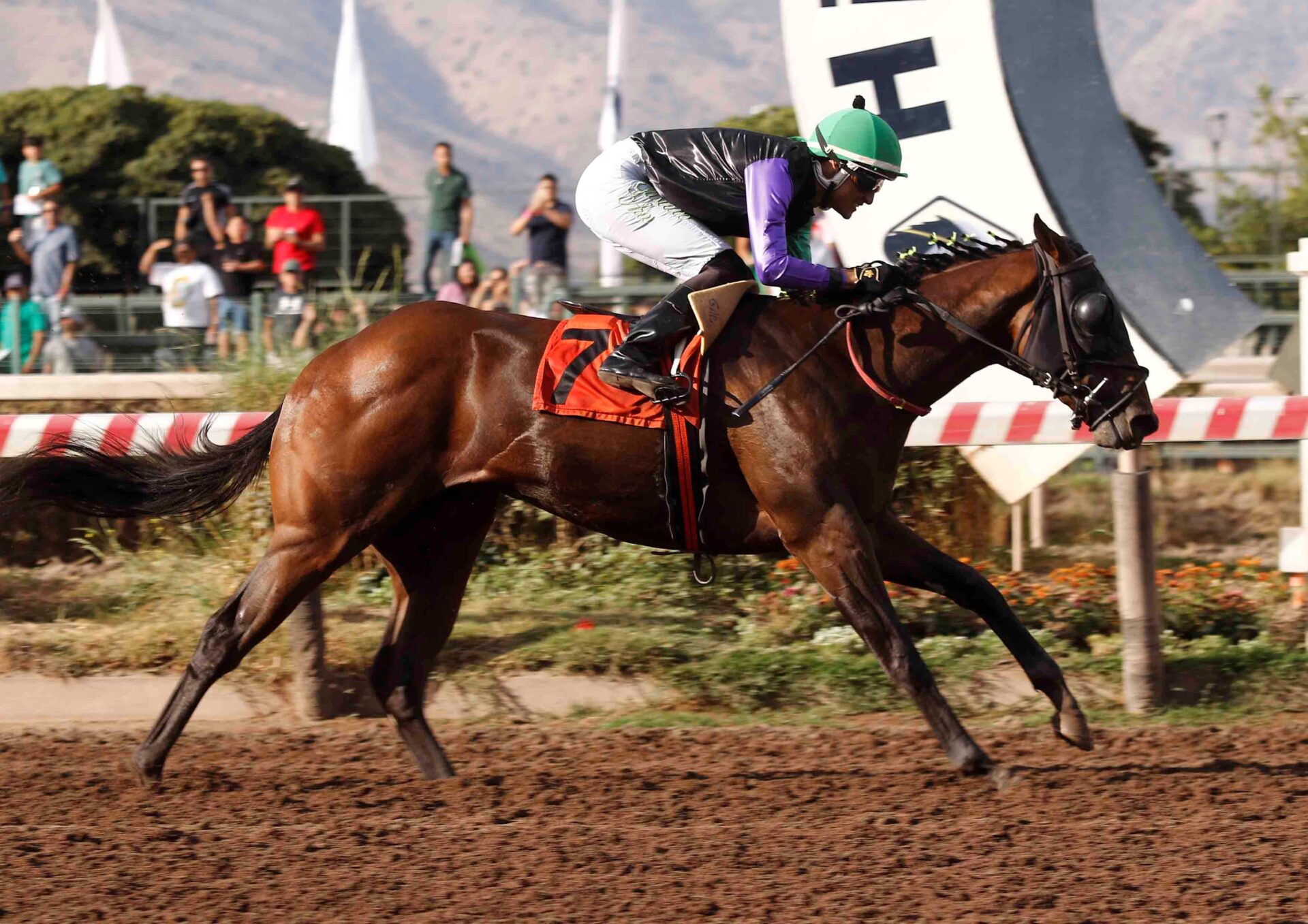 Tsubasa, horse, Haras Las Chicas, Clásico Selección de Potrillos, sábado, 7 de marzo de 2026, Hipódromo Chile. Foto: Jaime Cortés