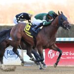 Iron Honor, horse, St. Elias Stable, Gotham Stakes, sábado, 28 de febrero de 2028, Aqueduct. Foto: Coglaniese Photo & Chelsea Durand