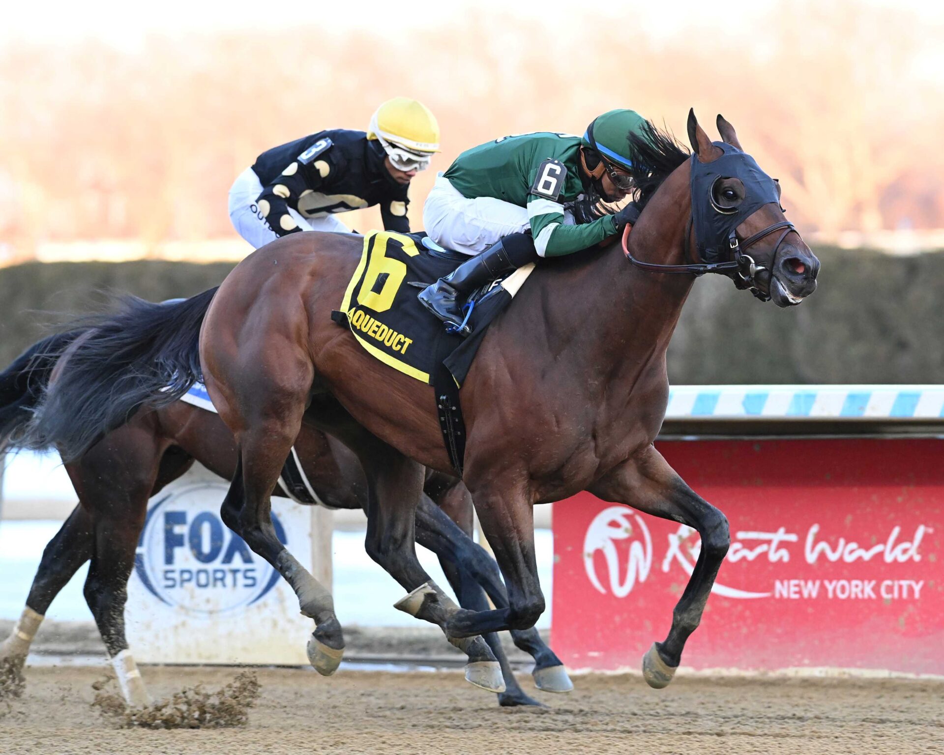 Iron Honor, horse, St. Elias Stable, Gotham Stakes, sábado, 28 de febrero de 2028, Aqueduct. Foto: Coglaniese Photo & Chelsea Durand