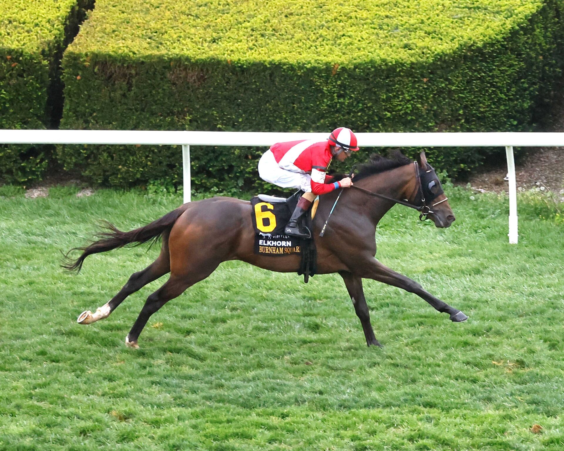 Burnham Square, horse, Liam´s Map, VisitLEX Elkhorn Stakes, sábado, 16 de abril de 2026, Keeneland. Foto: Coady Media