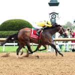 Eclatant, horse, Into Mischief, Madison Stakes, sábado, 4 de abril de 2026, Keeneland. Foto: Coady Media