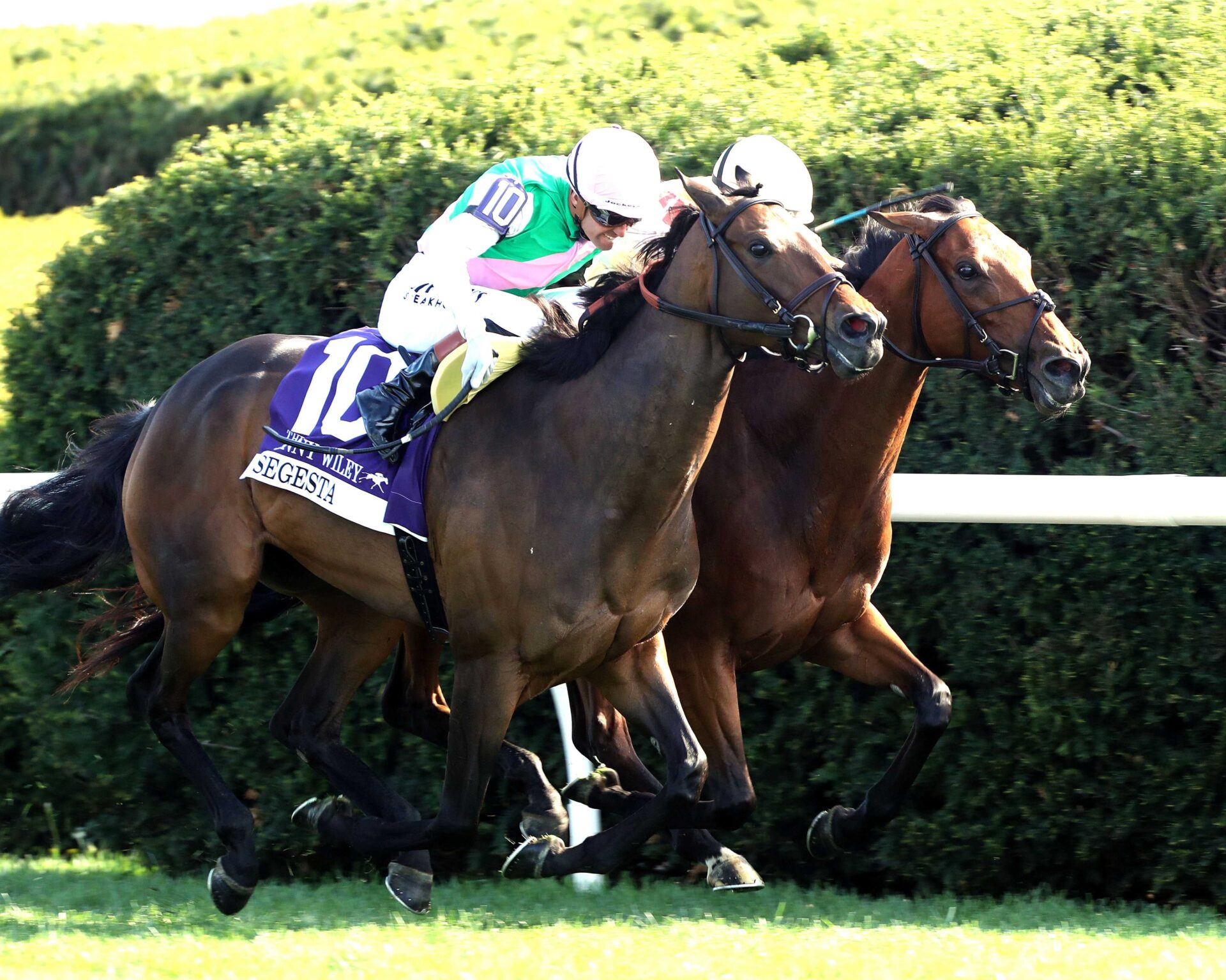 Expensive Queen (IRE), horse, Lope De Vega (IRE), Jenny Wiley Stakes, sábado, 11 de abril de 2026, Keeneland. Foto: Coady Media