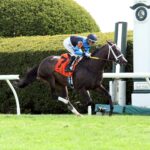 In Our Time, horses, Not This Time, Giant´s Causeway Stakes, domingo, 12 de abril de 2026, Keeneland. Foto: Coady Media
