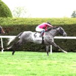 My Boy Prince, horse, Cairo Prince, Shakertown Stakes, sábado, 4 de abril de 2026, Keeneland. Foto: Coady Media