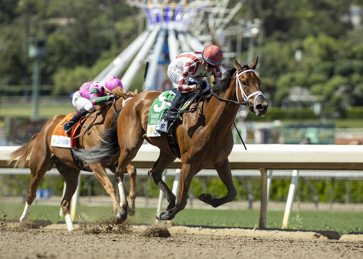 Meaning, horses, Gun Runner, Santa Anita Oaks, sábado, 4 de abril de 2026, Santa Anita Park. Foto Benoit Photo