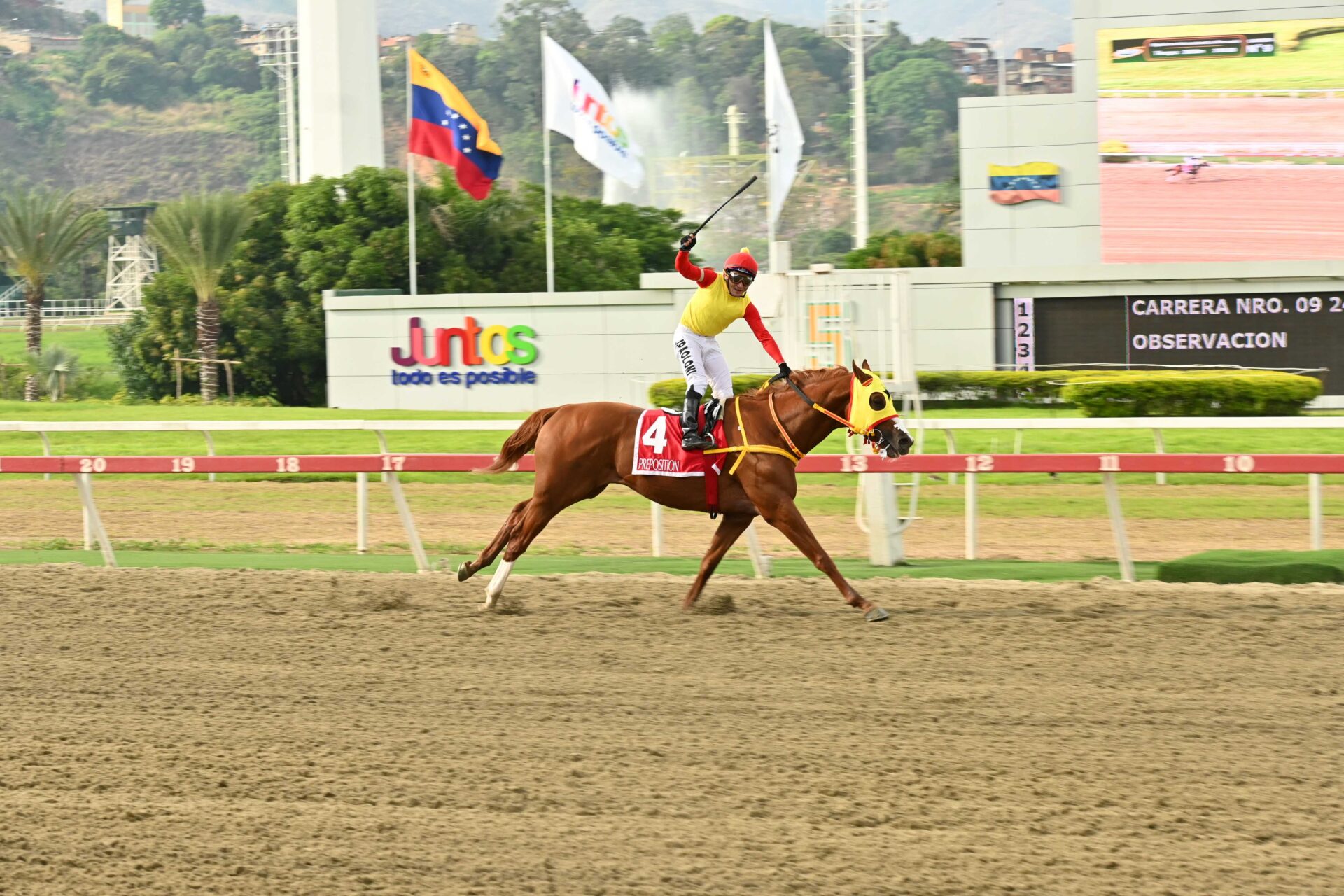 Preposition, horse, Tapit, Clásico Presidente de la República, sábado, 25 de abril de 2026, La Rinconada. Foto: José Antonio Aray