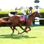 Reb Five, horse, Stoneriggs Farm, Palisades Stakes, domingo, 19 de abril de 2026, Keeneland. Foto: Coady Media