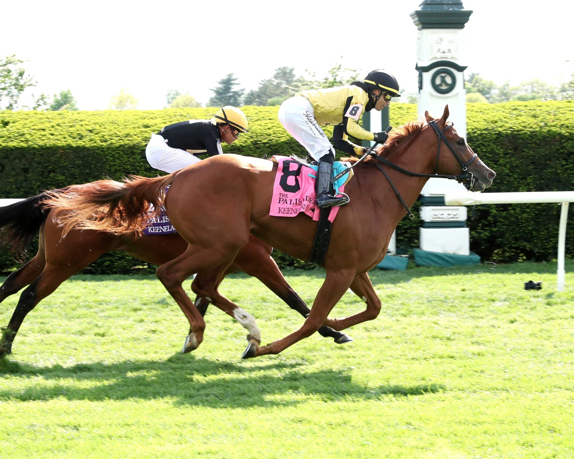 Reb Five, horse, Stoneriggs Farm, Palisades Stakes, domingo, 19 de abril de 2026, Keeneland. Foto: Coady Media