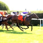 Remember Mamba, horse, C. R. K. Stables, Transylvania Stakes, viernes, 3 de abril de 2026, Keeneland. Foto: Coady Media