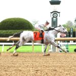 Saudi Crown, horses, Always Dreaming, Commonwealth Stakes, sábado, 4 de abril de 2026, Keeneland. Foto: Coady Media