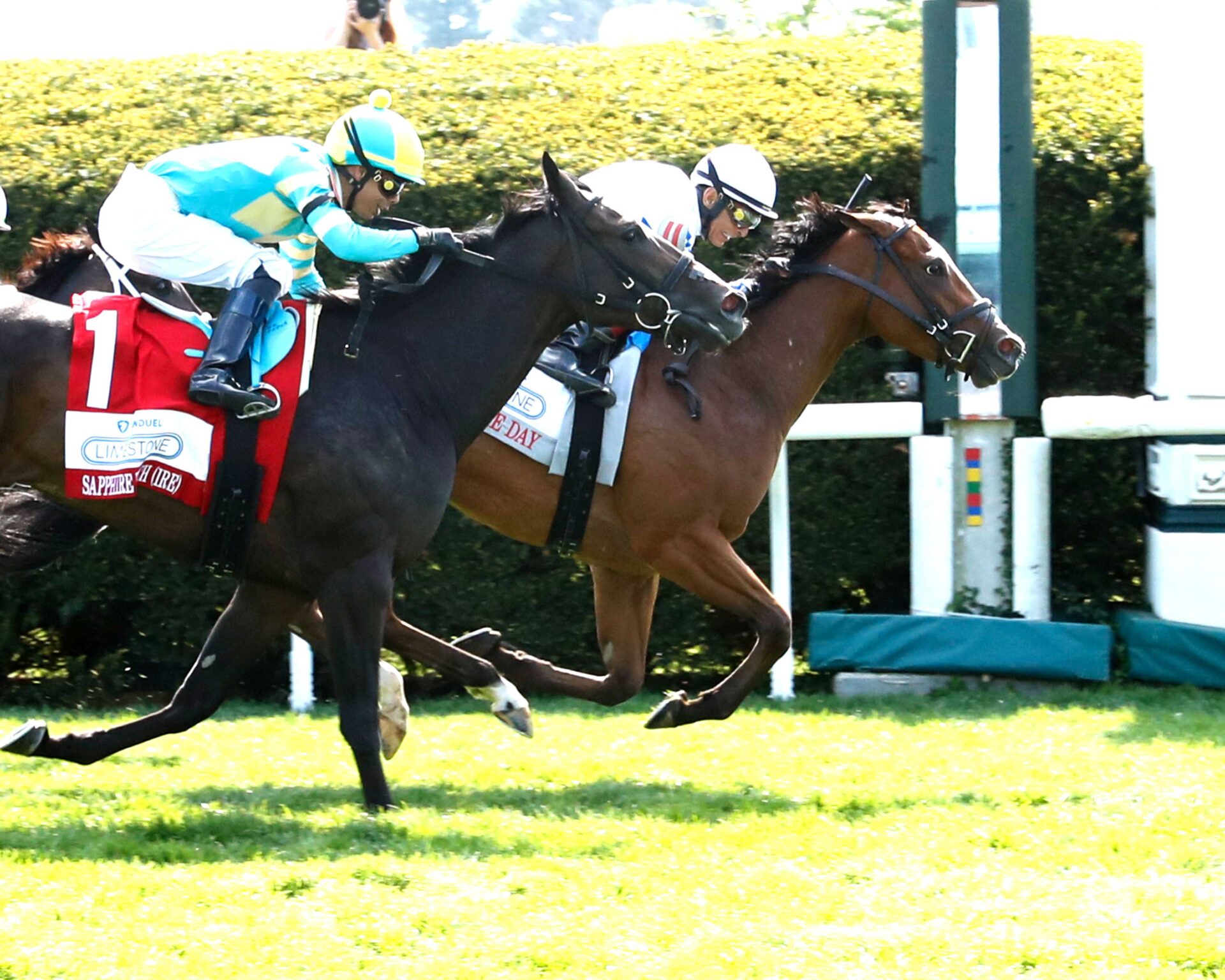 Slay The Day, horse, Into Mischief, Fanduel Limestone Stakes, viernes, 10 de abril de 2026, Keeneland. Foto: Coady Media