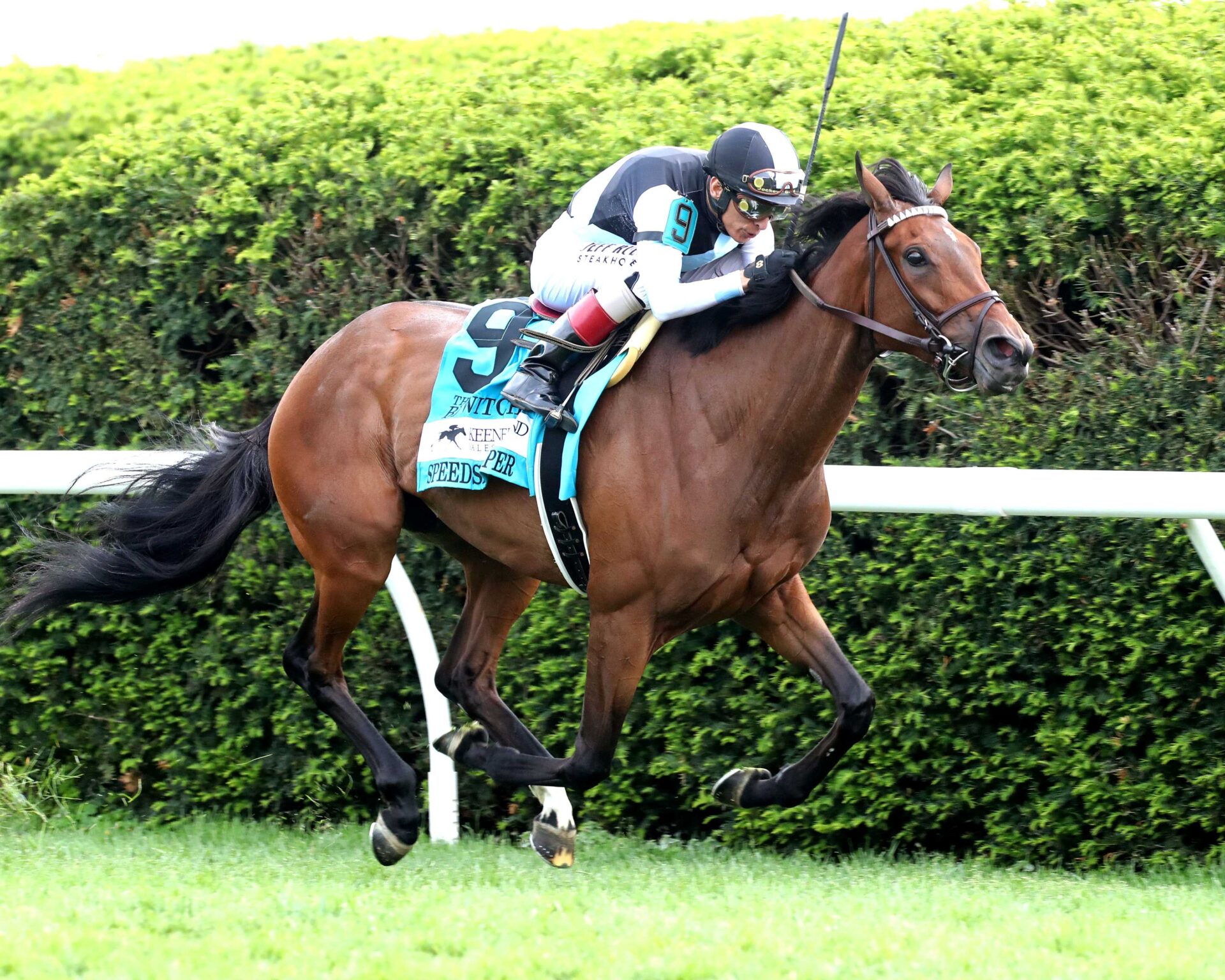 Speed Shopper, horse, Eclipse Thoroughbred Partners, Bewitch Stakes, viernes, 24 de abril de 2026, Keeneland. Foto: Coady Media