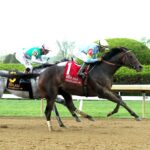 Stars And Stripes, horses, Frassetto Stables, Ben Ali Stakes, sábado, 18 de abril de 2026, Keeneland. Foto: Coady Media