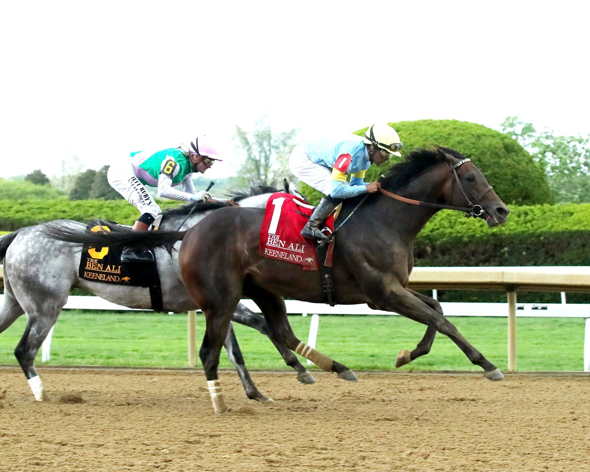 Stars And Stripes, horses, Frassetto Stables, Ben Ali Stakes, sábado, 18 de abril de 2026, Keeneland. Foto: Coady Media
