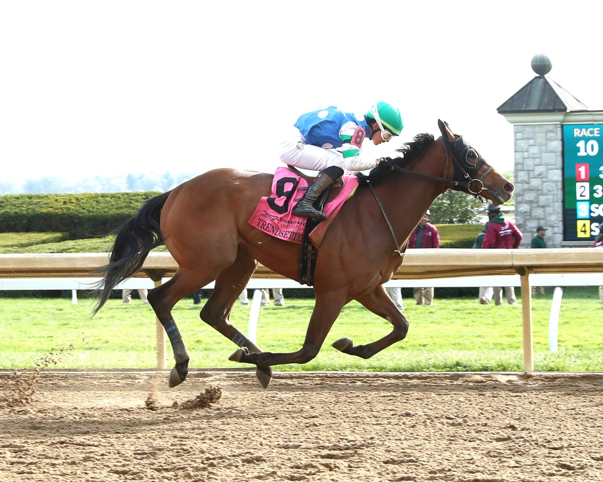 Trendsetter, horse, Modernist, Stonestreet Lexington Stakes, sábado, 11 de abril de 2026, Keeneland. Foto: Coady Media