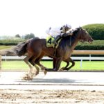 Trouble Calling, horse, Dialed In, Lafayette Stakes, viernes, 3 de abril de 2026, Keeneland. Foto: Coady Media