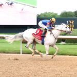 White Abarrio, horse, Race Day, Oaklawn Hándicap, sábado, 18 de abril de 2026, Oaklawn Park. Foto: Coady Media
