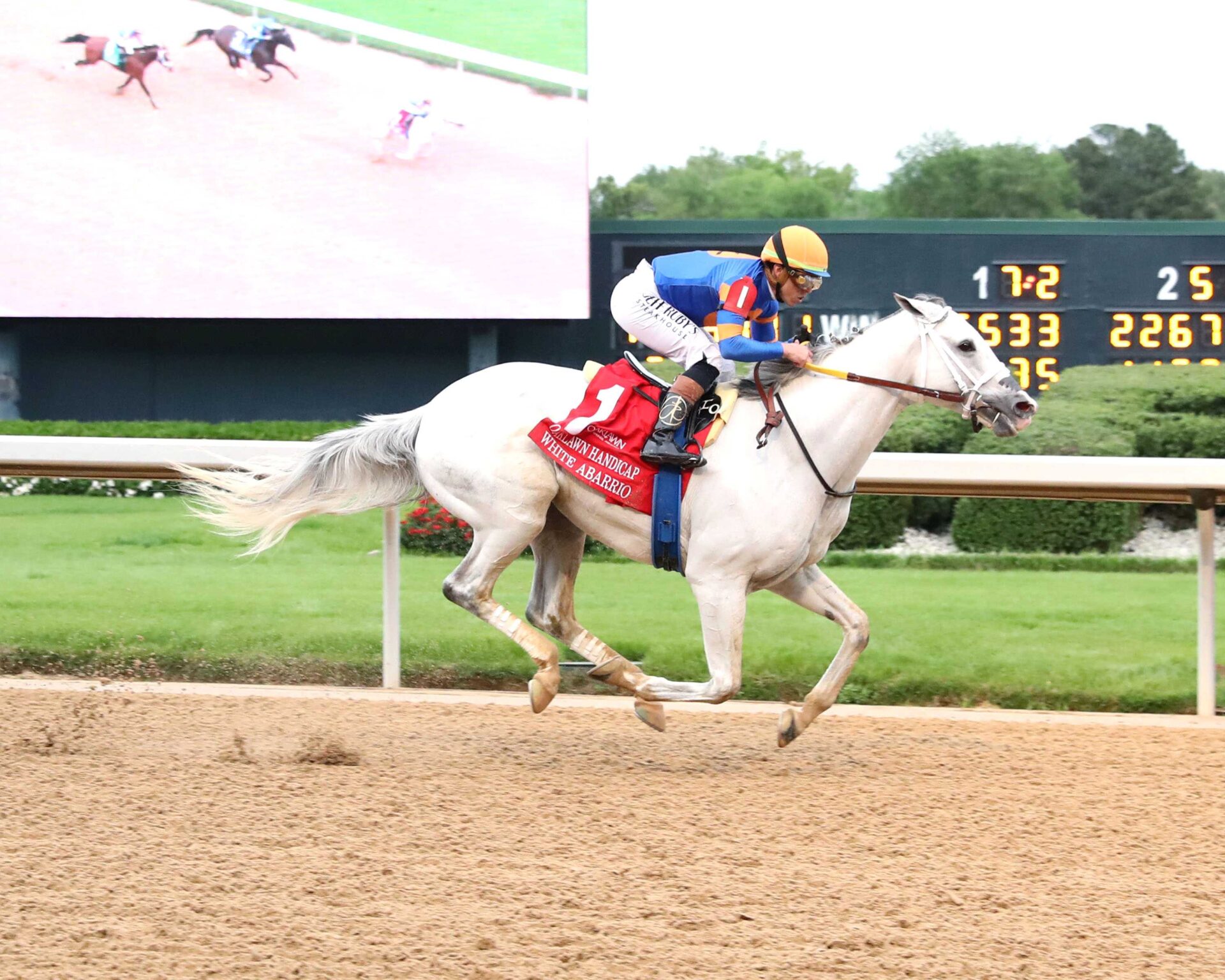 White Abarrio, horse, Race Day, Oaklawn Hándicap, sábado, 18 de abril de 2026, Oaklawn Park. Foto: Coady Media