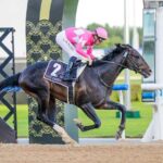 Wonder Dean, Horses, Dee Majesty, UAE Derby, Meydan Racecourse, sábado, 28 de marzo de 2026. Foto: Liesl King & Media DWC