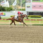 Búnker, horse, Constructor White, Clásico Hypocrite, domingo, 10 de mayo de 2026, La Rinconada. Foto: José Antonio Aray