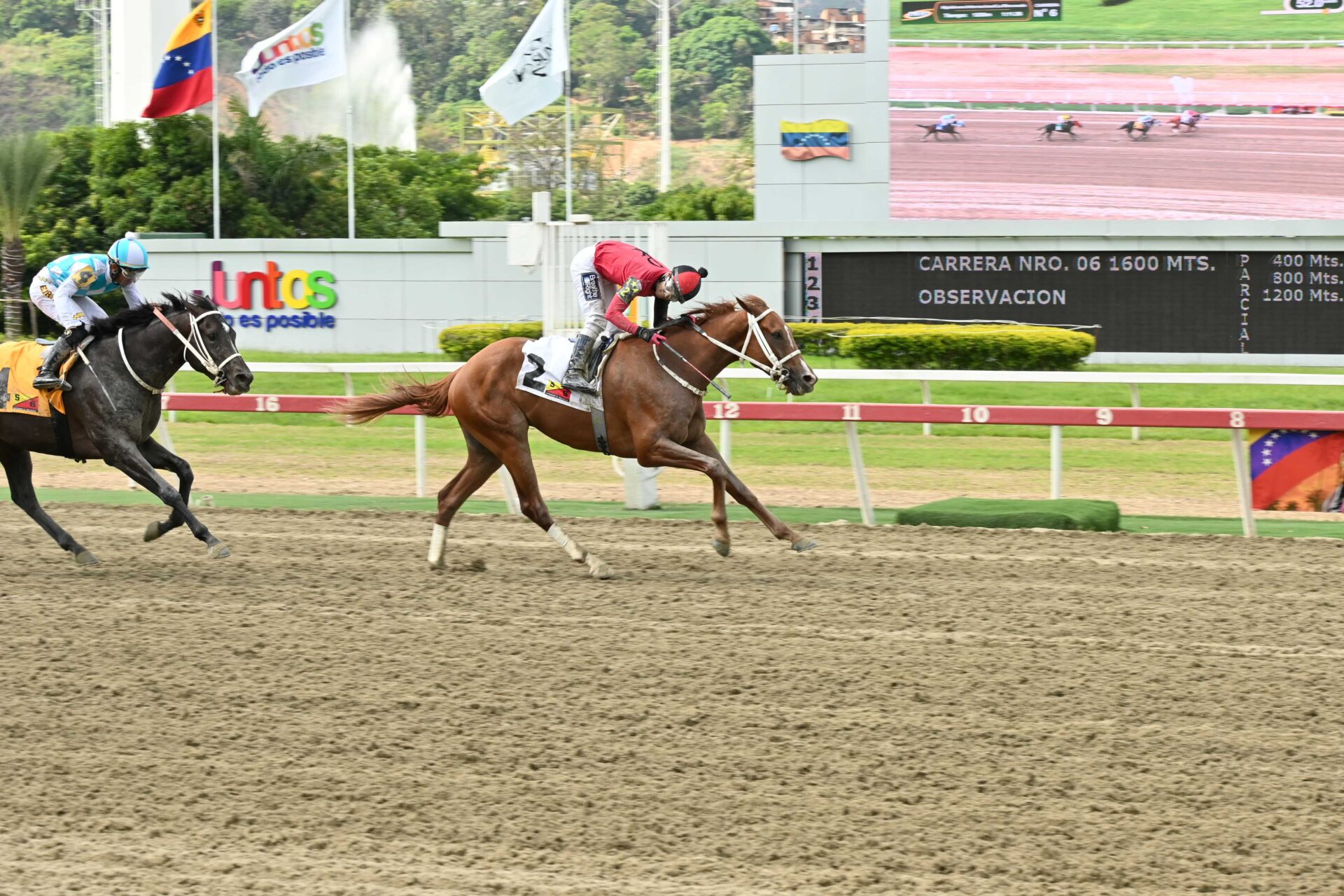 Búnker, horse, Constructor White, Clásico Hypocrite, domingo, 10 de mayo de 2026, La Rinconada. Foto: José Antonio Aray