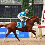 Drive Joy, horse, Fortify, Gran Premio de Las Américas OSAF, sábado, 1 de mayo de 2026, Hipódromo de Palermo. Foto: Prensa Palermo