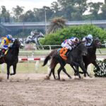 Emotion Rate, horse, Emotion Orpen, Gran Premio Montevideo, sábado, 1 de mayo de 2026, Hipódromo de Palermo. Foto: Prensa Palermo